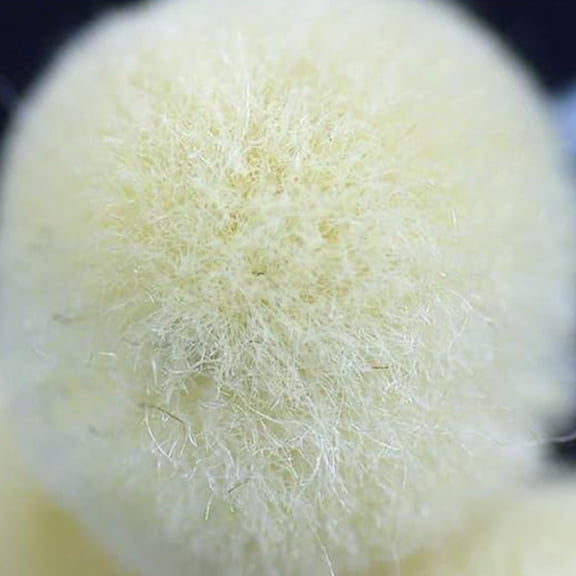 HONMEET  Long Handle Design Dye Daubers Wool Craft Tool 40pcs Multi Color