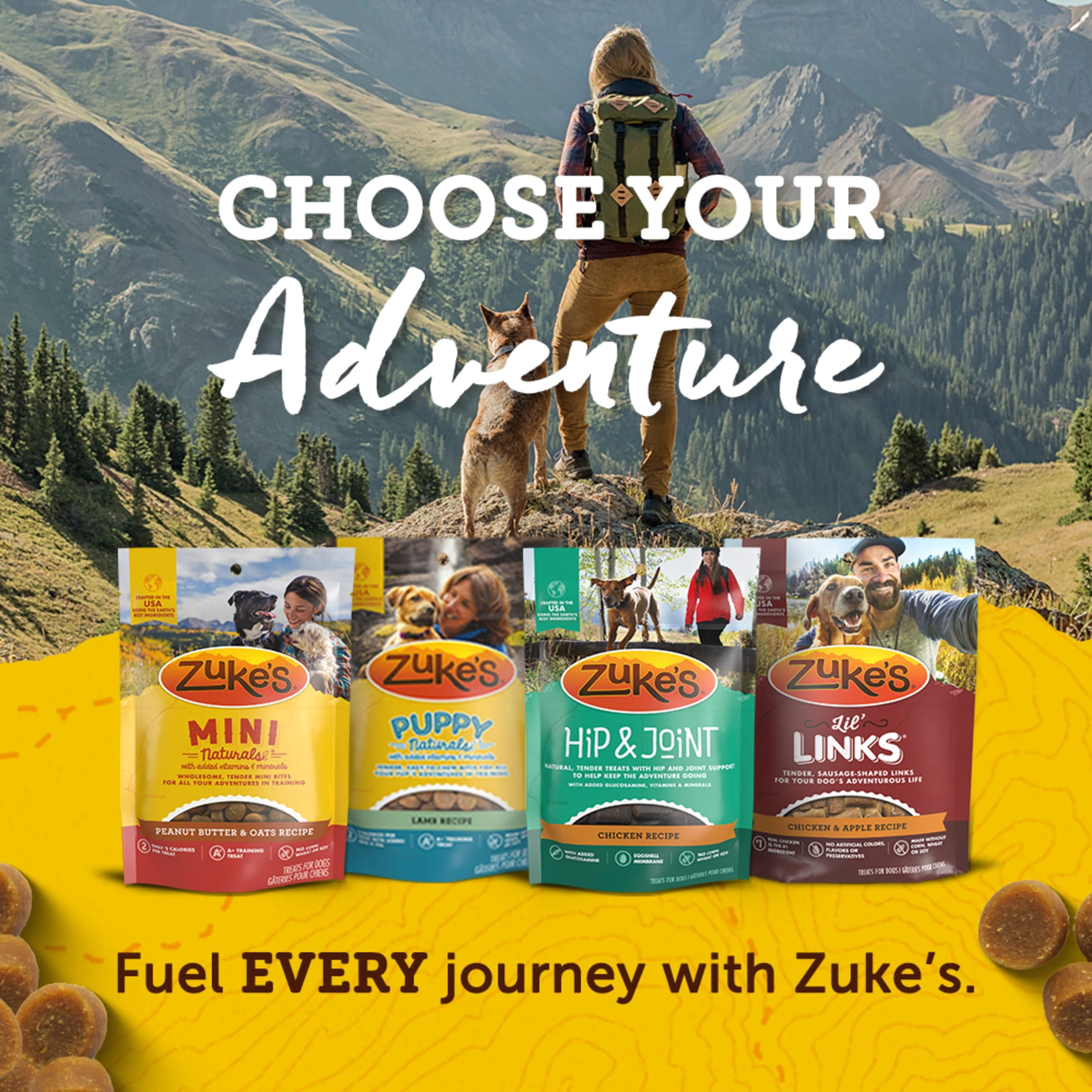 (8 pack) Zuke's Mini Naturals Soft Dog Training Treats, Real Salmon Recipe Tender Chews, 6 oz Pouch