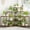 Brown, variant on Plant Stand with Grow Lights for Indoor Plants 11 Potted Corner Plant Shelf with Plant Lights for Indoor Growing