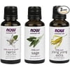 3-Pack Variety of NOW Essential Oils: Good Night Sleep- Neroli, Sage, Ylang Ylang