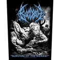 thumbnail image 1 of Bloodbath -  Parche Survival Of The Sickest (Negro, Blanco, Azul), 1 of 2