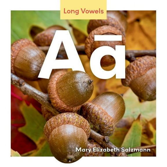 Long Vowels AA, (Hardcover)