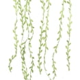 thumbnail image 2 of Enredaderas artificiales, guirnalda de hojas de eucalipto artificial, cinta de vegetación botánica decorativa de la selva para el jardín de la pared del hogar Coronas de bodas Fokelyi CZJJ-HQ37-2, 2 of 6