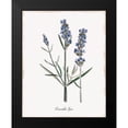 thumbnail image 2 of Donovan, Kelly 15x18 Black Modern Framed Museum Art Print Titled - Lavender, 2 of 5