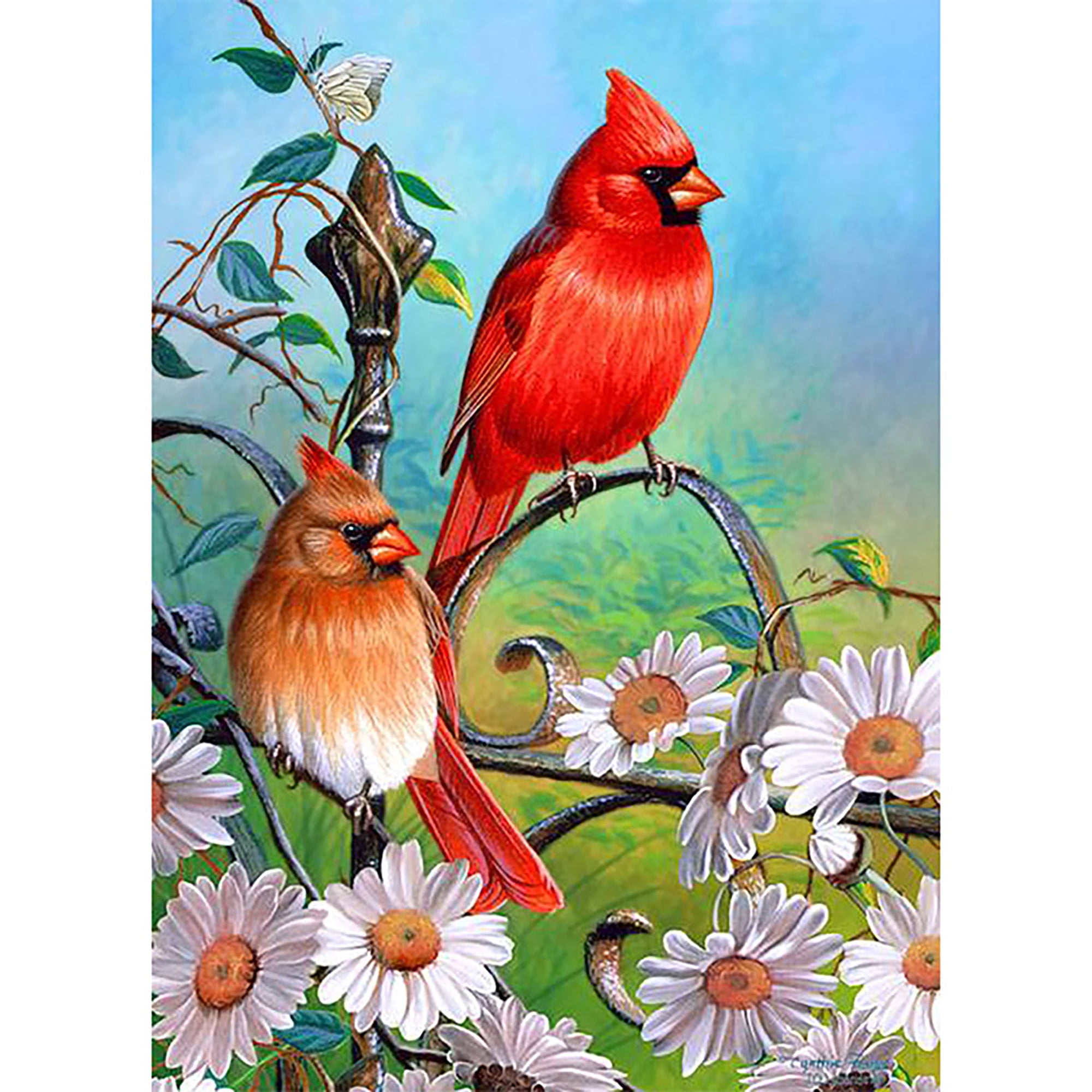 DIY Round Diamond Painting Kits for Adults Full Drill Cross Stitch Two red Birds Home Decoration 40x30CM 
