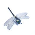 thumbnail image 2 of Juguete Libélula Artificial Repelente Mosquitos Biónico PVC Adornos Colgantes para Exteriores, 2 of 9