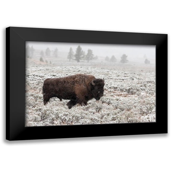 Forns, Alfred 14x11 Black Modern Framed Museum Art Print Titled - Late Fall Yellowstone