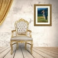 thumbnail image 3 of Fitzharris, Tim 24x32 Gold Ornate Wood Framed with Double Matting Museum Art Print Titled - Marabou Stork-Kenya II, 3 of 4