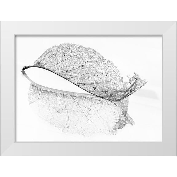 Holmstrom, Katarina 14x11 White Modern Wood Framed Museum Art Print Titled - The old leaf