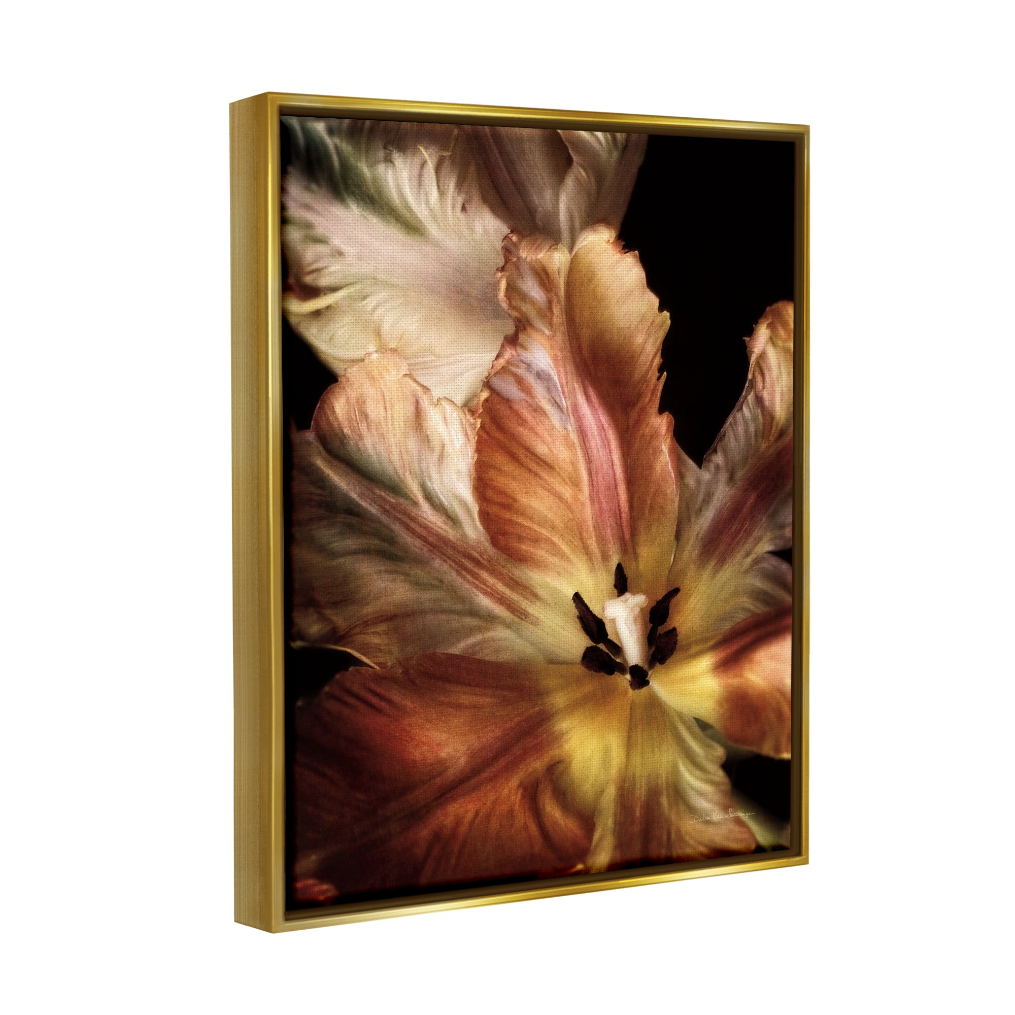 Stupell Industries Tulip Petals Detail Botanical & Floral Photography Gold Floater Framed Art Print Wall Art, 17 x 21