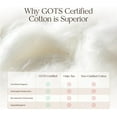 thumbnail image 6 of Whisper Organics 100% Cotton Organic Mattress Protector, 300TC Mattress Pad, Twin size, Ivory, 6 of 8