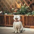 thumbnail image 5 of Adjustable Pet Collars with Breathable Fruits Design Buckle for Cats and Dogs, 5 of 5