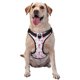thumbnail image 1 of Balery Seahorse and Starfish Arnés para Perros Grandes Antitirones, Arnés con Correa para Gato, Arnés Tipo Chaleco para Perros Pequeños-Medium, 1 of 5