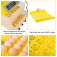 thumbnail image 4 of 112-Egg Incubator for Hatching Chicks, Fully Automatic Poultry Hatcher Machine with Egg Irradiator and Water Injector, Egg Candler with Clear Window View(US Standard), Yellow & Transparent, 4 of 8