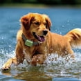 thumbnail image 4 of 1-2 Dogs Shock Collar 4500FT Dog Training Collar with Remote Waterproof Rechargeable E-Collar, 4 of 9