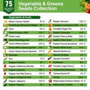 75 Vegetable & Greens Seeds Kit - 44,700+ Non-GMO Heirloom Seeds Gardening Gift Box for Planting