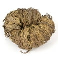 thumbnail image 2 of 2-Pack Incense Garden Rose of Jericho Flower The Resurrection Plant, 2 of 5