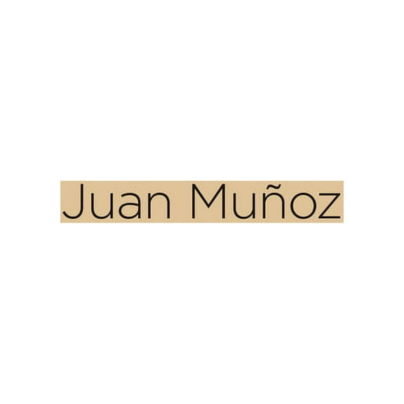 Juan Muñoz: Artist Monograph, (Paperback)