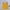Yellow, variant on Girls Athletic Shorts Athletic Running White Shorts Elastic Uniform Shirts for Girls 5-6 Years