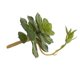 thumbnail image 3 of Simulación de plantas suculentas Cateissary decoración de flores verdes de plástico en maceta 3D, 3 of 6