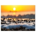 thumbnail image 2 of Sunrise Giving Color for Sea Waters - Seascape Canvas Art Print, 2 of 3
