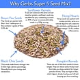 thumbnail image 5 of Pumpkin, Sunflower, Chia, Flax, Hemp Seed Raw Mix by Gerbs - 2 LBS. - Top 14 Food Allergen Free & NON GMO - Vegan & Kosher, 5 of 9