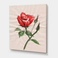 thumbnail image 3 of Designart ' Ancient Red Rose Flower II ' Traditional Canvas Wall Art Print, 3 of 4