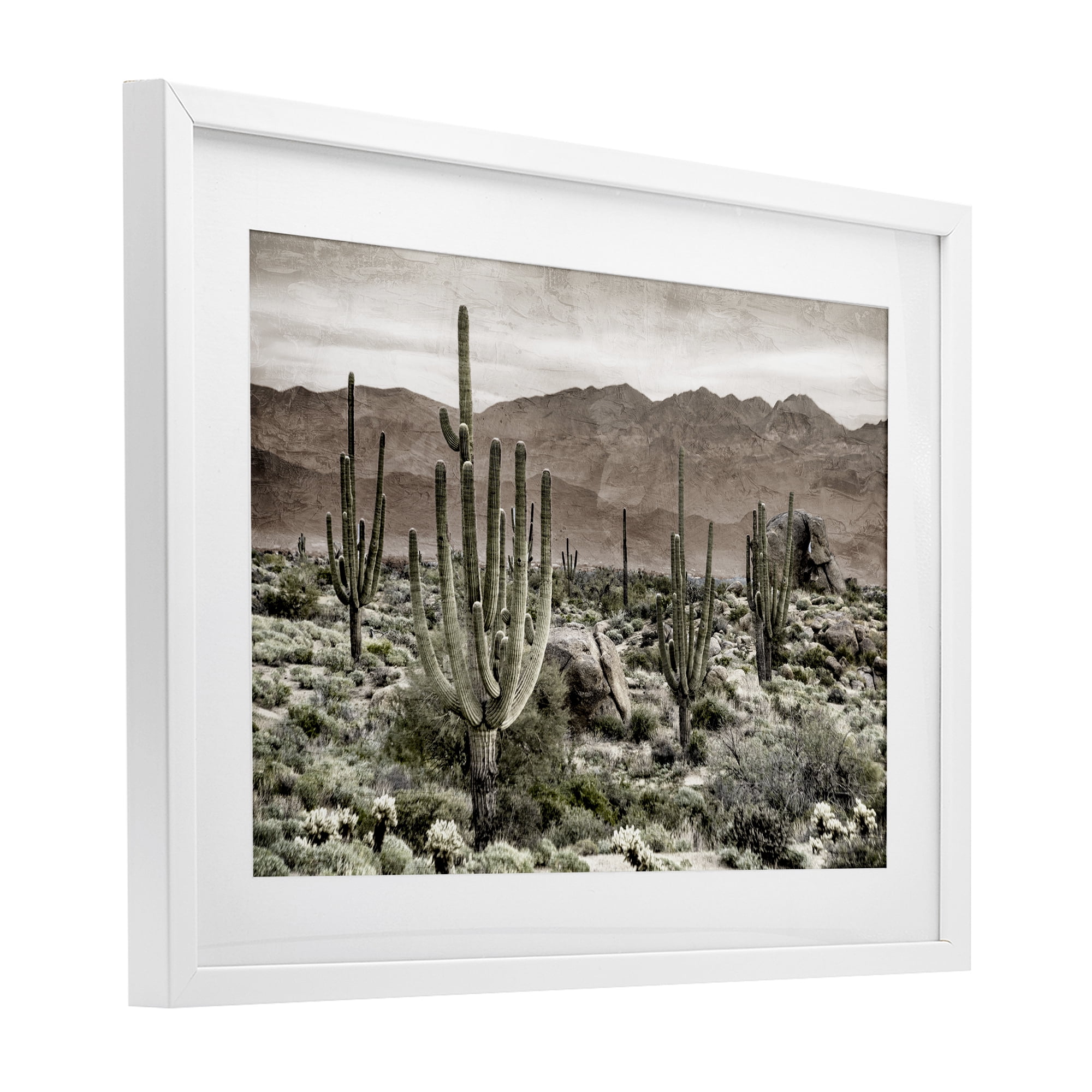 Stupell Industries Desert Land Cacti Wilderness White Framed Print Under Glass, design by Kim Allen