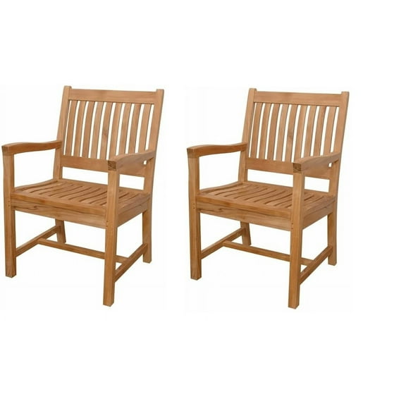 Rialto Dining Arm Chair (Set of 2)