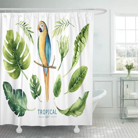 Yusdecor Watercolor Tropical Plants And Parrot Exotic Palm Leaves Jungle Bathroom Decor Bath Shower Curtain 60x72 Inch Walmart Canada
