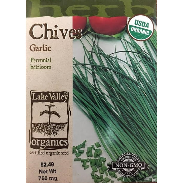 Organic Garlic Chives Seeds 750 mg Perennial Heirloom