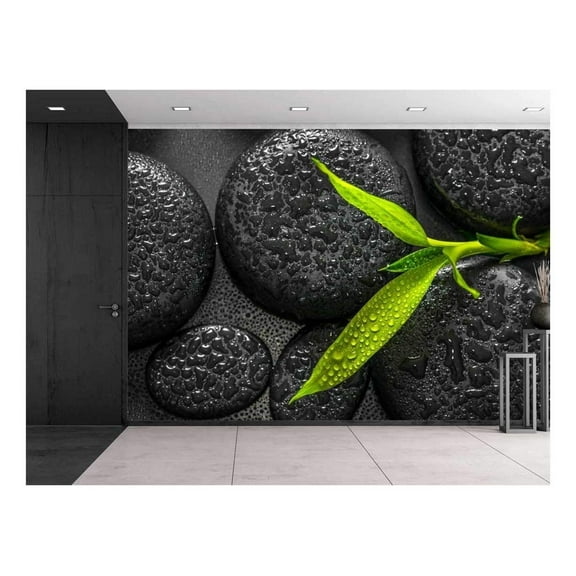 wall26 - Rain Drops Over Black Rocks and a Little Green Plant - Wall Mural, Removable Sticker, Home Decor - 100x144 inches