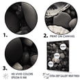 thumbnail image 3 of Designart "Black And White Shells And Pebbles" Seashell Canvas Art Print, 3 of 7