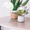 thumbnail image 3 of Terrarium en Verre Transparent pour Décoration Intérieure avec Affichage Clair et Design Robuste 2 Pcs, 3 of 8