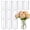 12 Pack 6 Inch, variant on Glass Cylinder Vases 6" X 4.7" Wide Mouth for Centerpieces