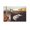 Unframe-style, variant on Salvador Dalí Painter Painting Poster Poster Decorative Painting Canvas Wall Art Living Room Posters Bedroom Painting 08x12inch(20x30cm)