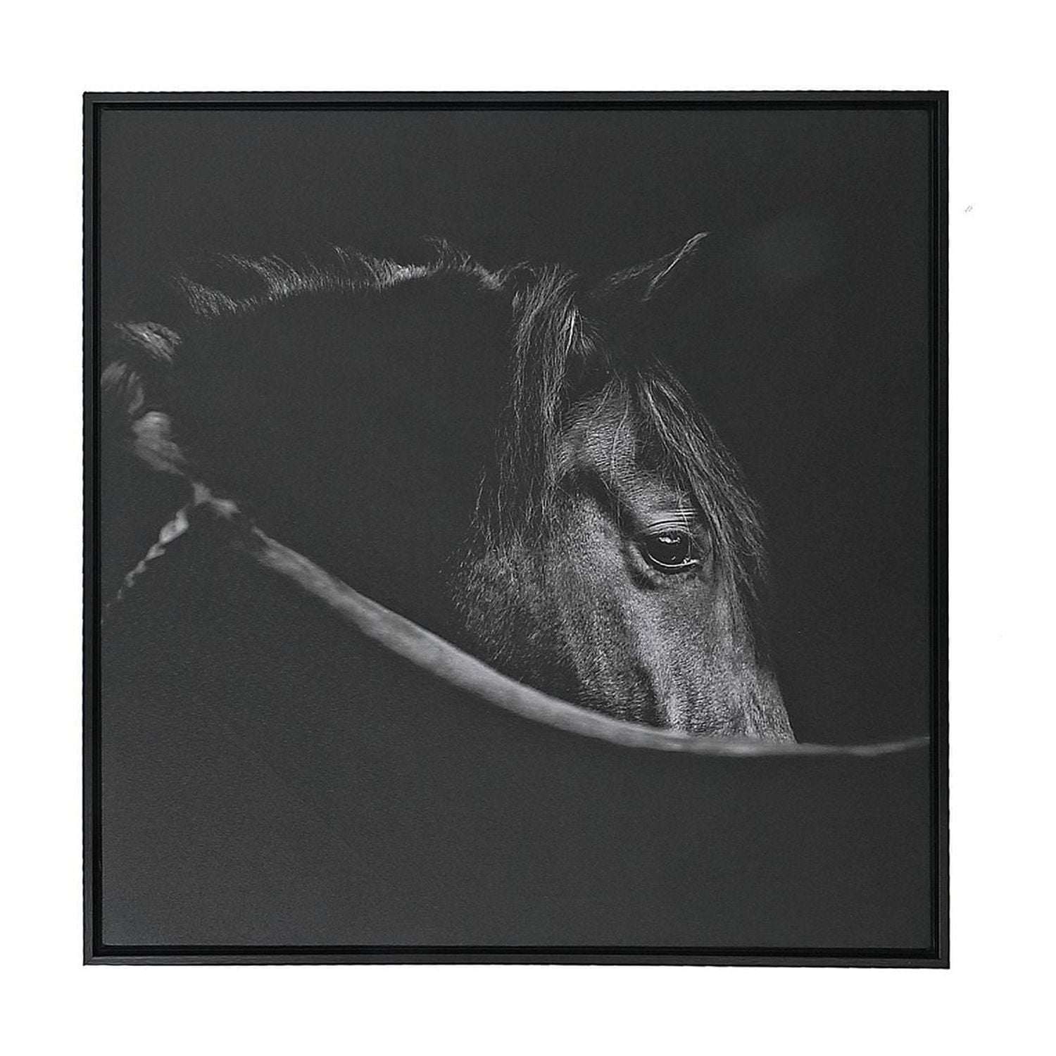 Framed Canvas Wall Art Horse Head