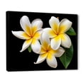 thumbnail image 2 of Designart "Purity In Plumeria Dreamscape" Plumeria Floater Framed Wall Art Prints, 2 of 5