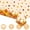 A, variant on Thanksgiving Tablecloth Disposable,53 x 107 Inch Rectangle Waterproof Plastic Fall Thanksgiving Maple Leaf Theme Tablecloth for Harvest Party Table Decoration