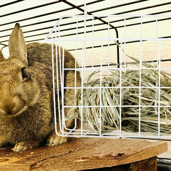 SEWCHICS White Iron Rabbit Feeder Rack for Cage Metal Hay Holder Safe Durable Small Animal Food Storage