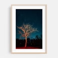 thumbnail image 2 of Illuminate - Charlottesville Virginia Photography Unframed Wall Art Print 8 x 12 inches, 2 of 60