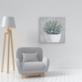 Masterpiece Art Gallery Potted Succulent I By Studio Arts Canvas Art ...