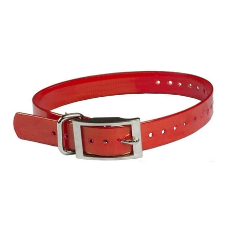 The Buzzard's Roost Collar Strap Red/1x24, Replacement collar straps ...