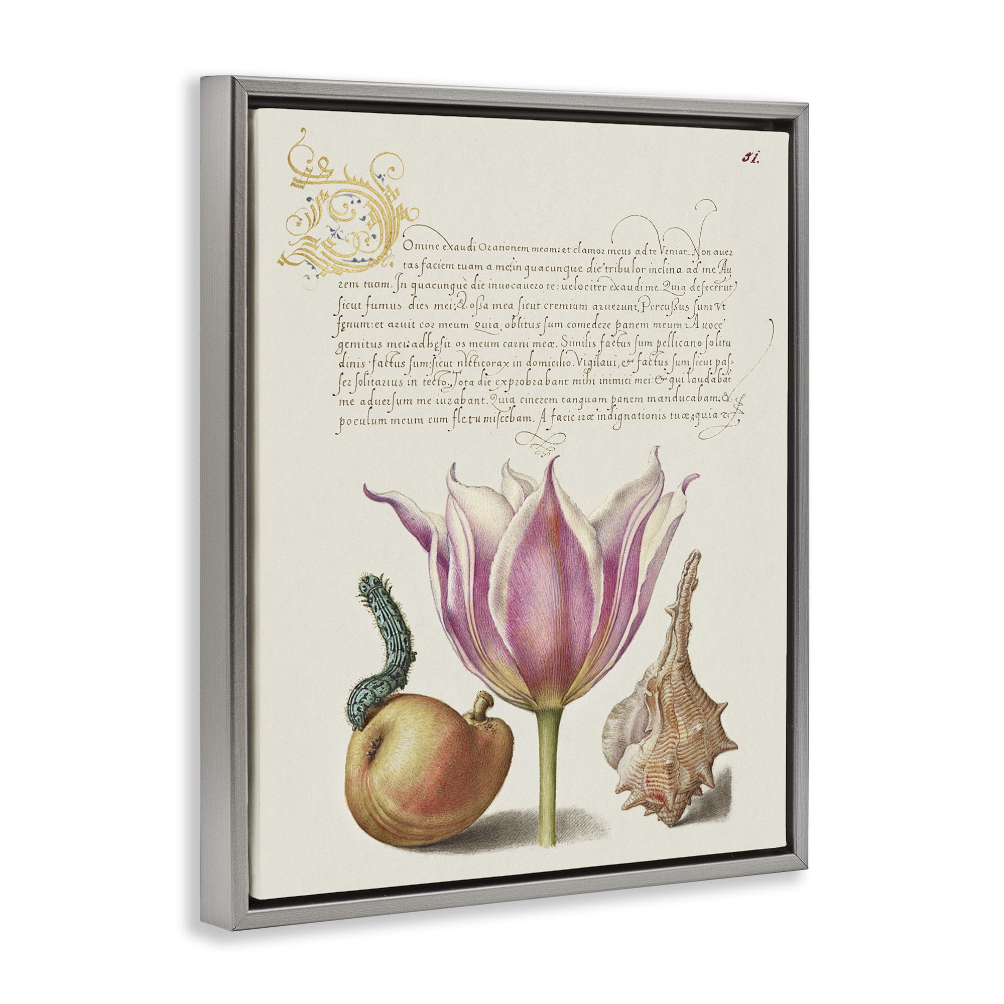 Stupell Industries Flower & Bug Study Page Text & Numbers Painting Gray Floater Framed Canvas Art Print Wall Art, 25 x 31
