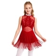 thumbnail image 4 of Aislor Girls Mesh Splice Rhinestone Sleeveless Tassel Dress Samba Jazz Tap Modern Latin Salsa Dancewear Burgundy 8, 4 of 7
