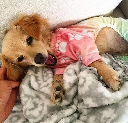 puppy pajamas