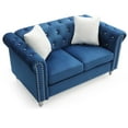 thumbnail image 3 of Contemporary Home Living Tufted Velvet 2-Seater Sofa with Throw Pillows - 60" - Blue, 3 of 6