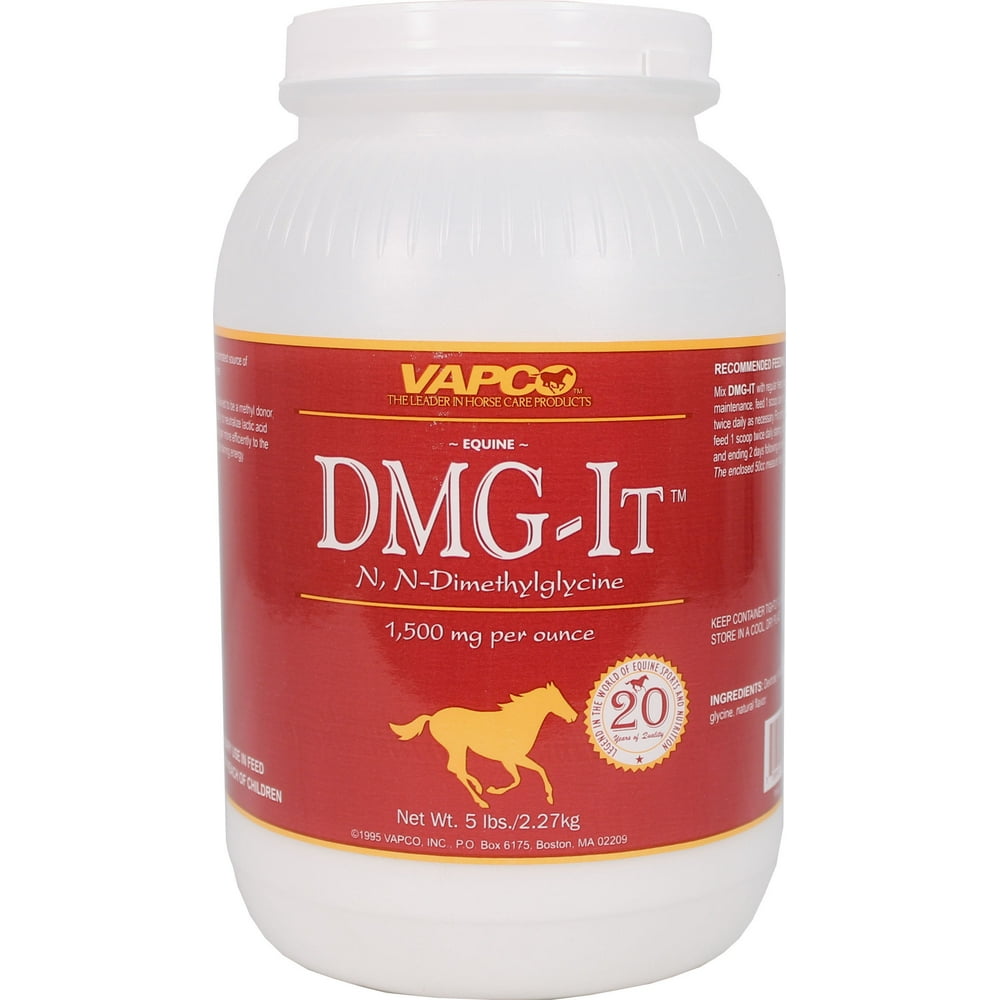 EQUINE DMGIT SUPPLEMENT