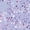 Purple Stars, variant on Womens Pajama Set 2 Piece Short Sleeve V Neck Tops & Capri Pants, Comfy Soft Stretchy Sleepwear, Cute Printed Loungewear Lounge Set, Lightweight Pajamas for Women S-2XL