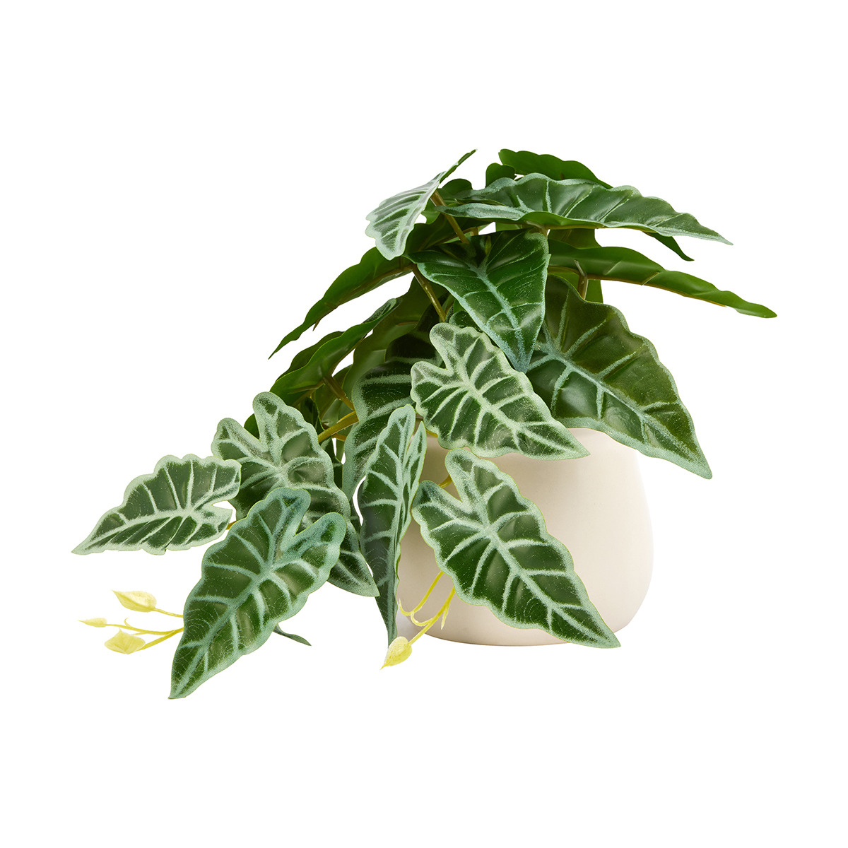 Anko Alocasia artificielle dans un pot en céramique